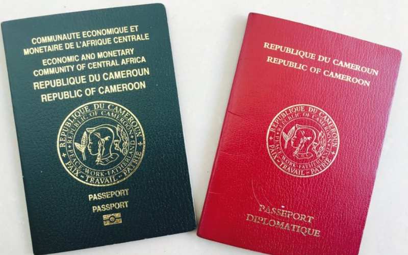 Egypt Visa for Cameroonian-Passport Online Security Approval.