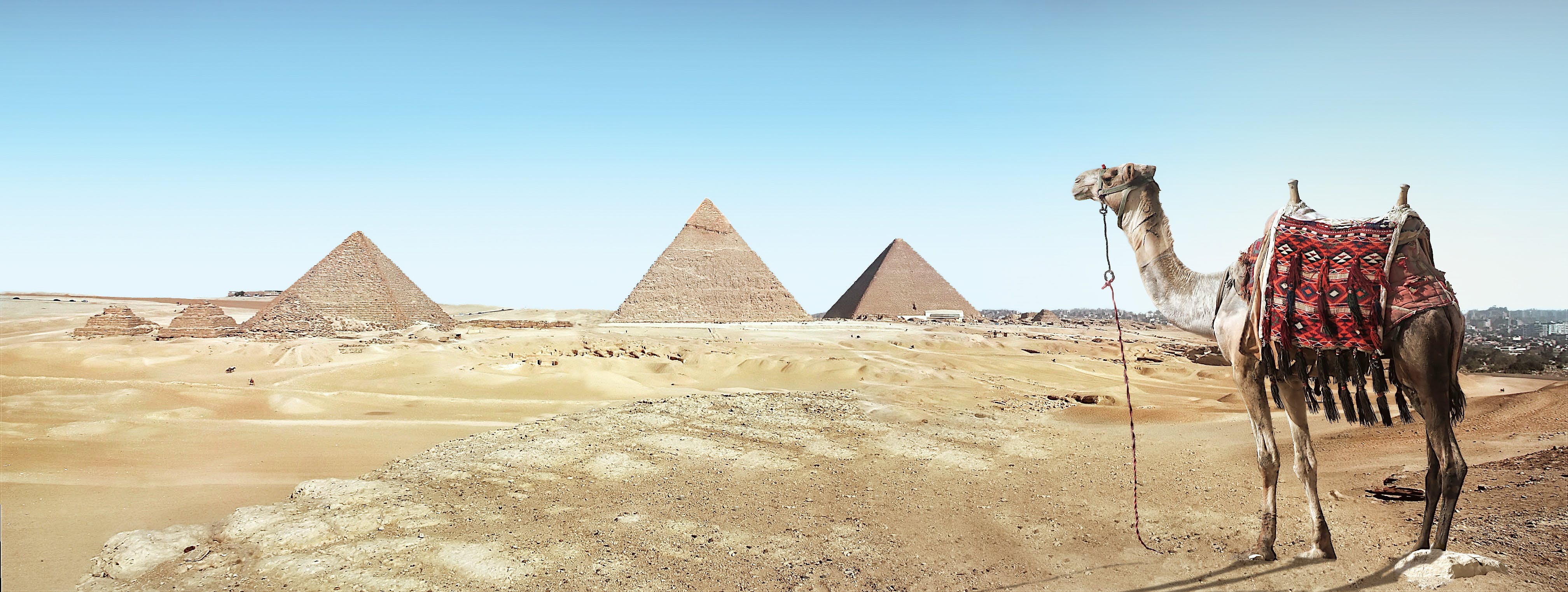 Slide Image 1
