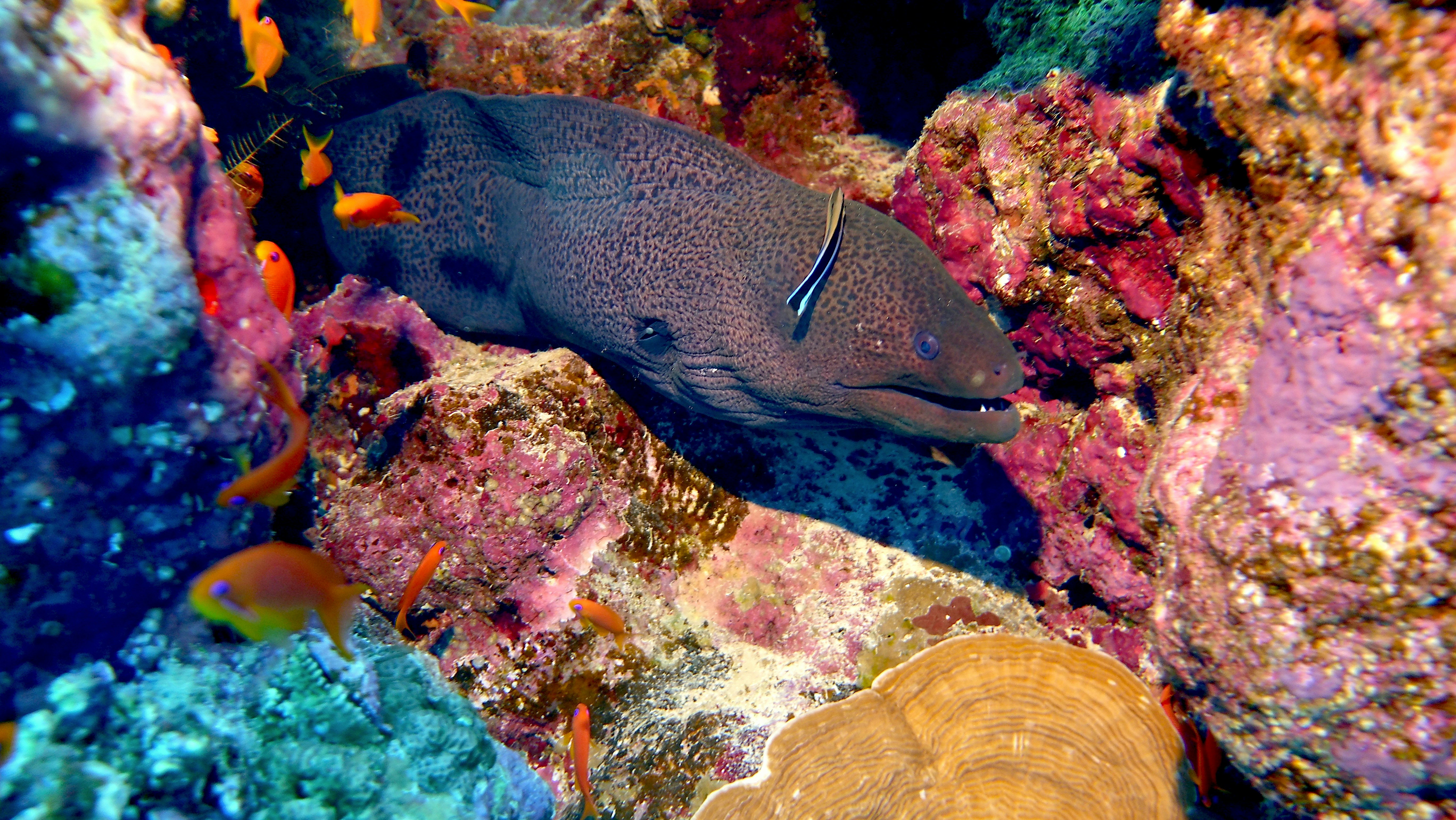 Slide Image 6