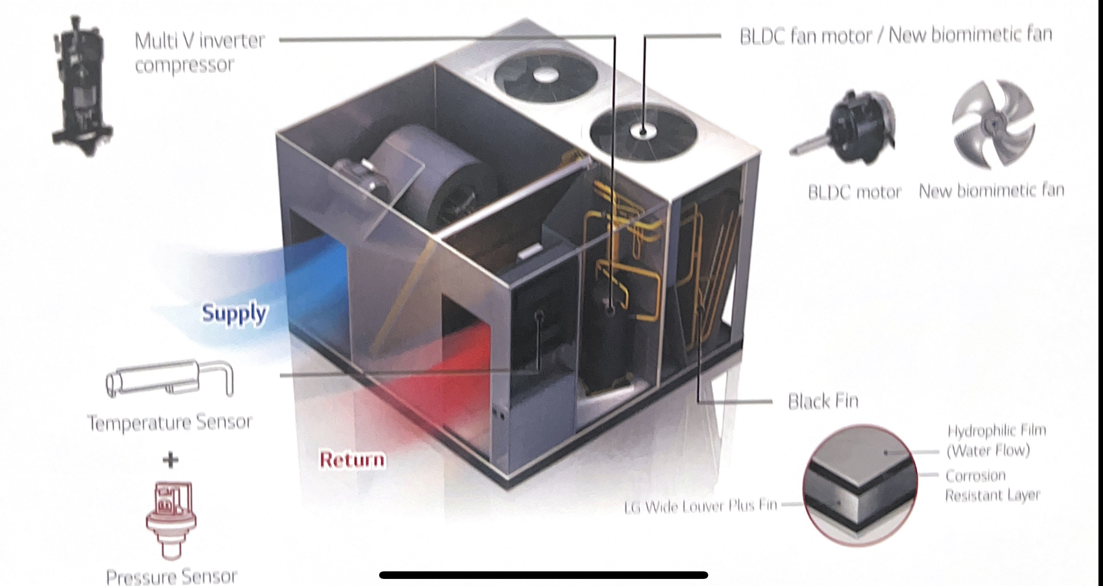Slide Image 5