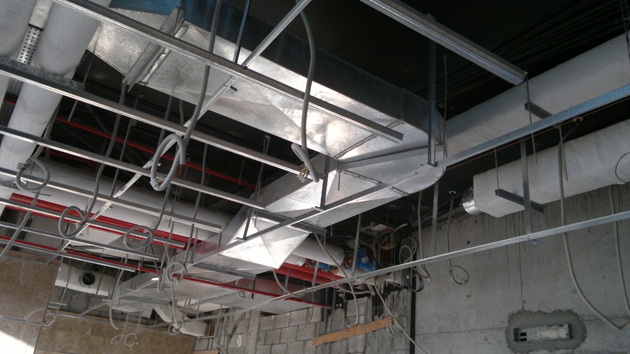 Slide Image 4