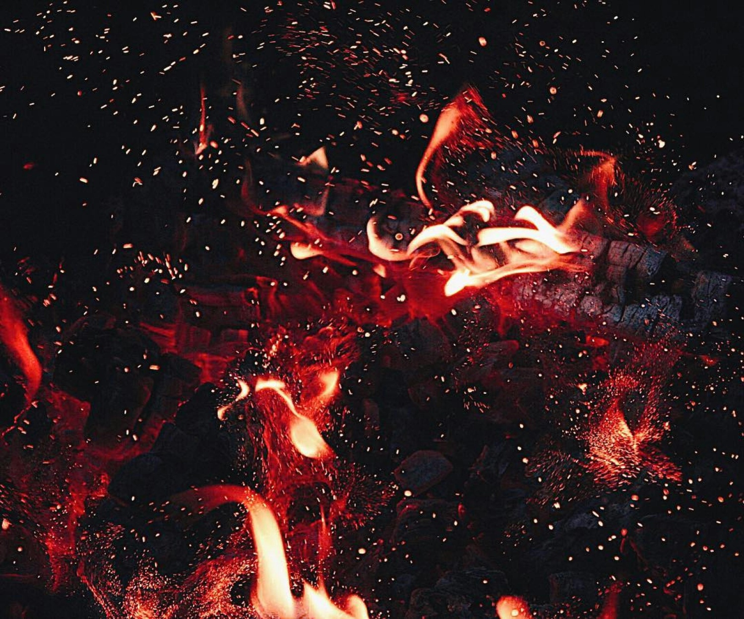 Slide Image 1