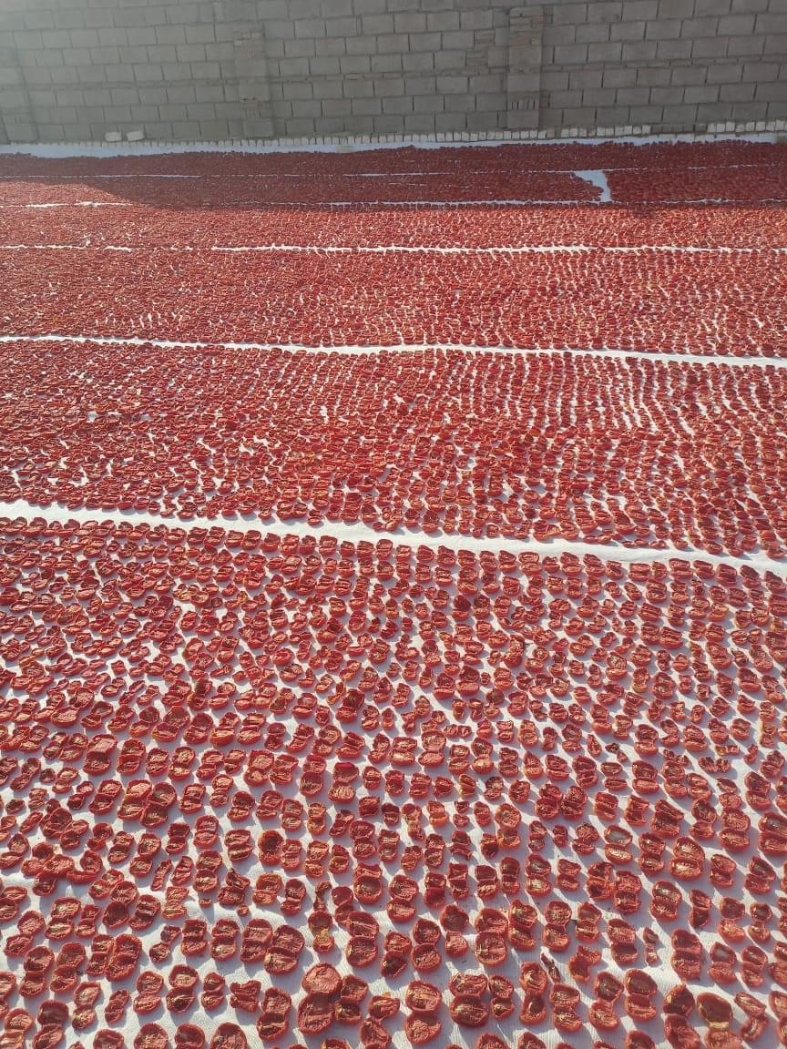 Slide Image 46