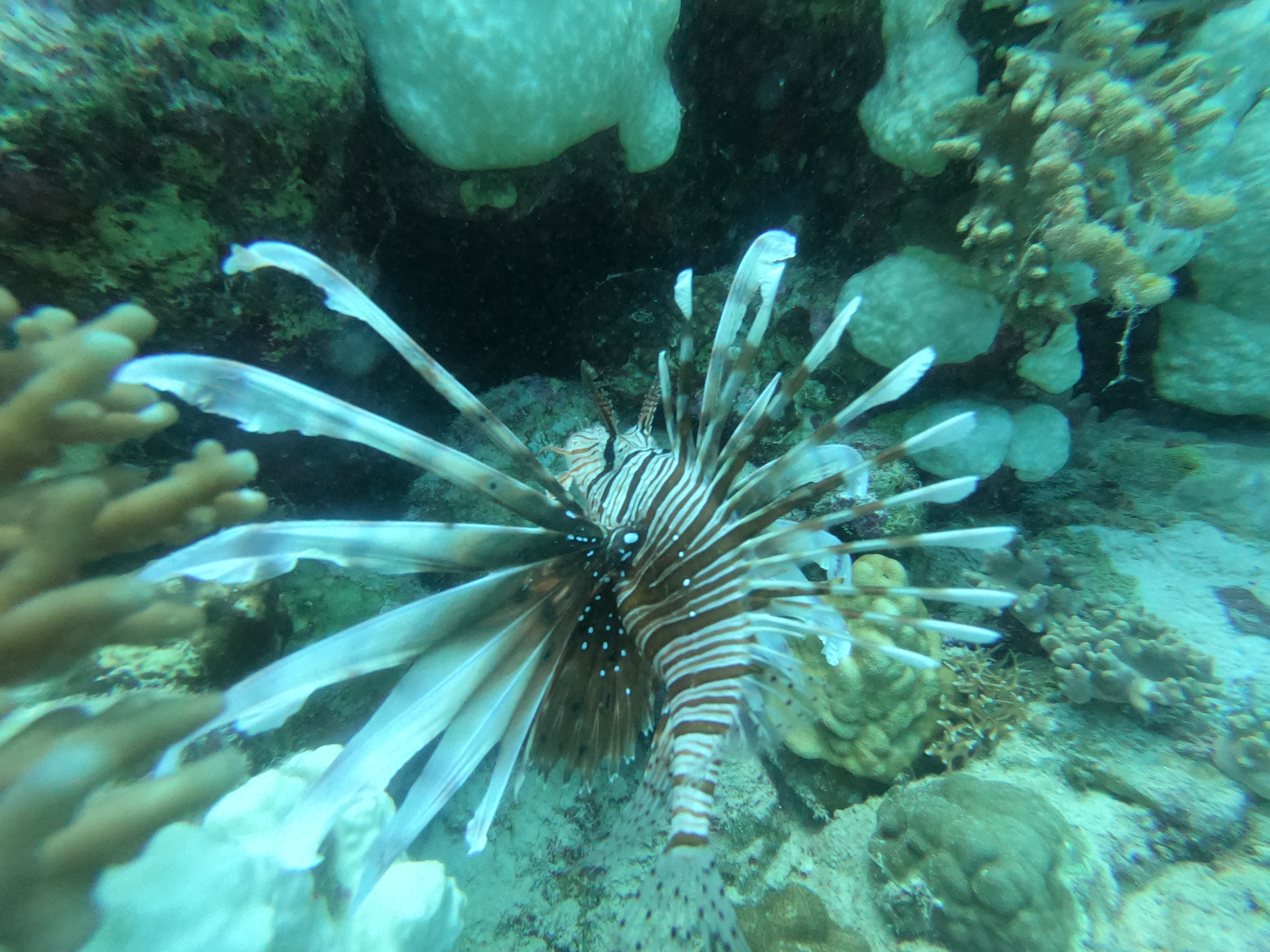 Slide Image 6