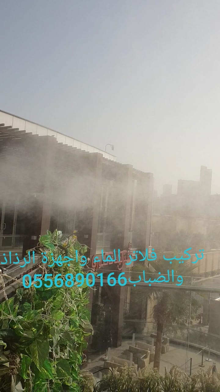 Slide Image 4