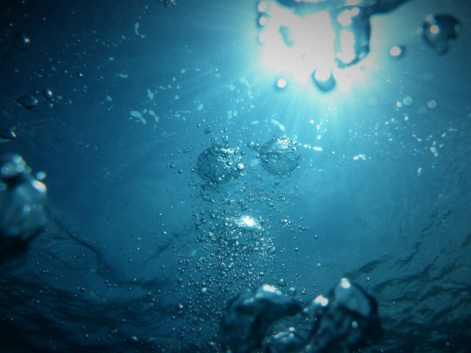 Slide Image 1